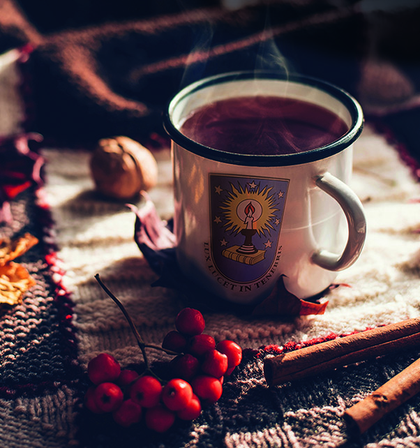 Internet MuseumsTreffNovDez2